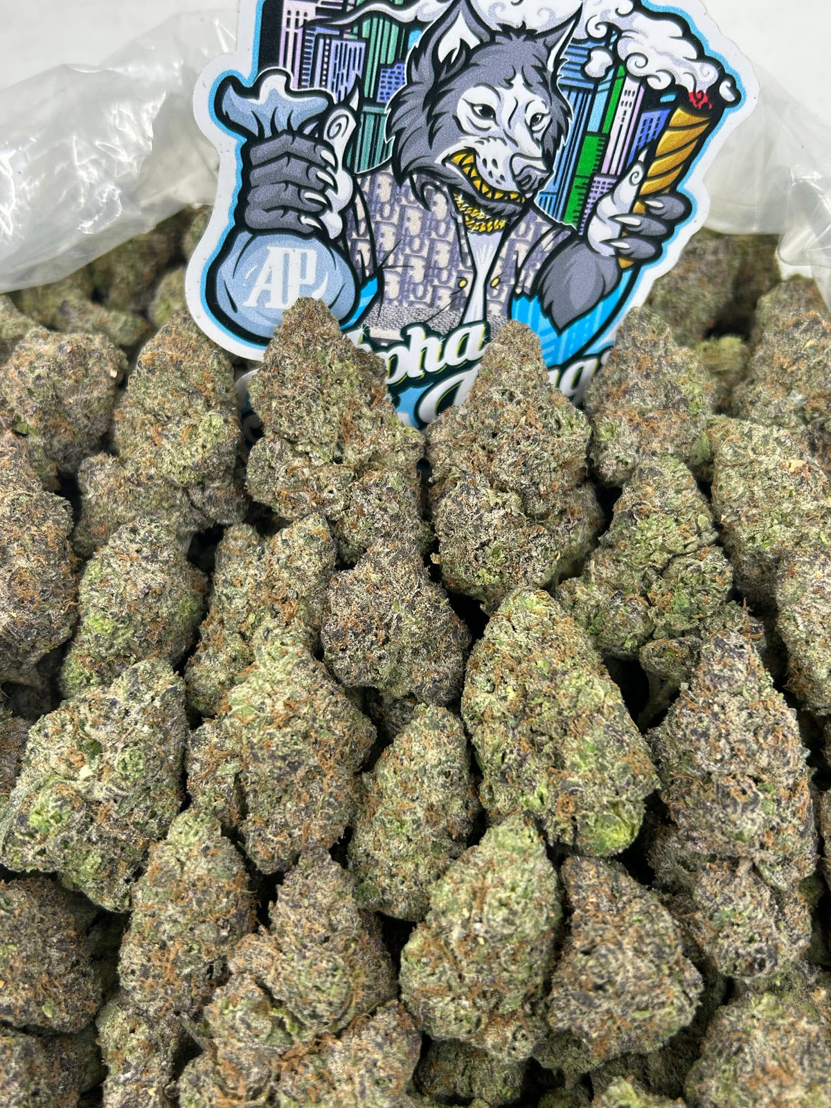RAINBOW ZKITTLEZ 🌈🍬