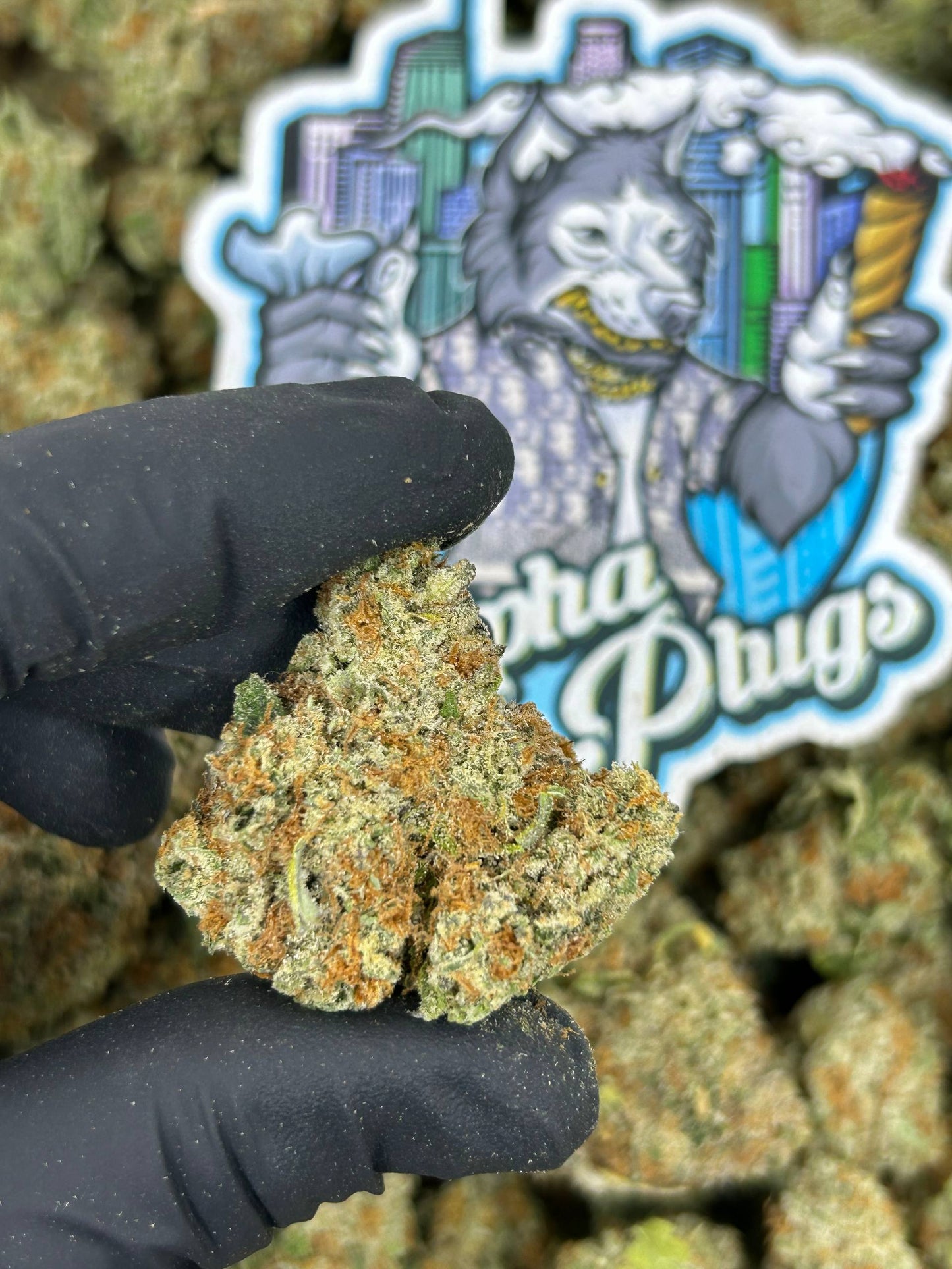 Martian Runtz 👽🌲