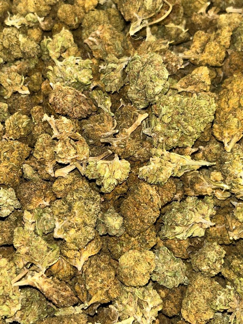 Sour Diesel 💢⛽️