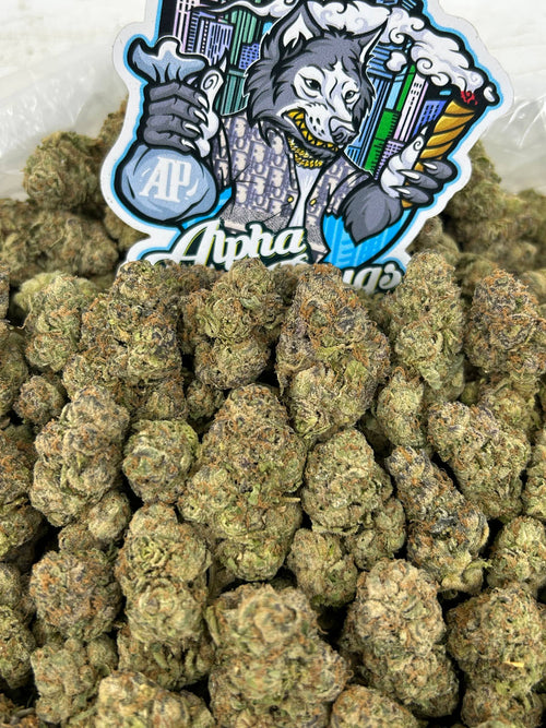 Blue Gushers 💙🍬