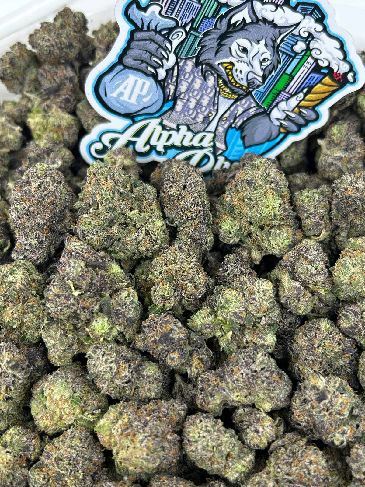 Candy Gelato 🍬🍦