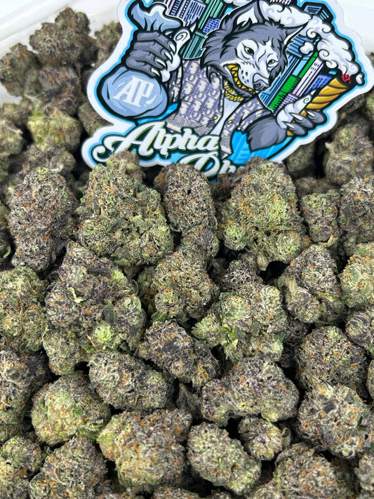 Candy Gelato 🍬🍦