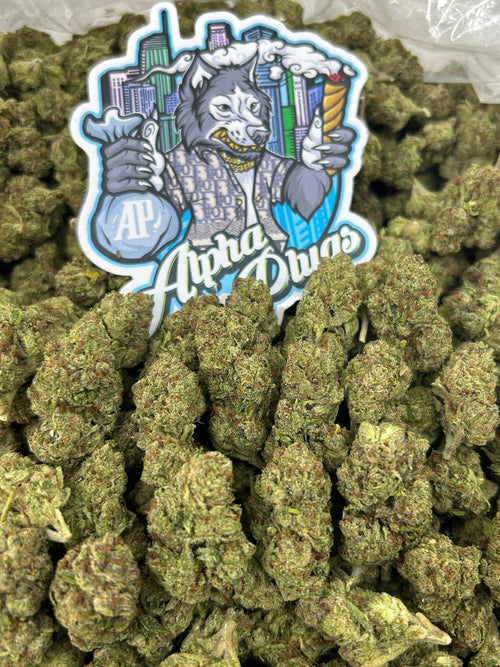 Gelato 33 🍦⛽️