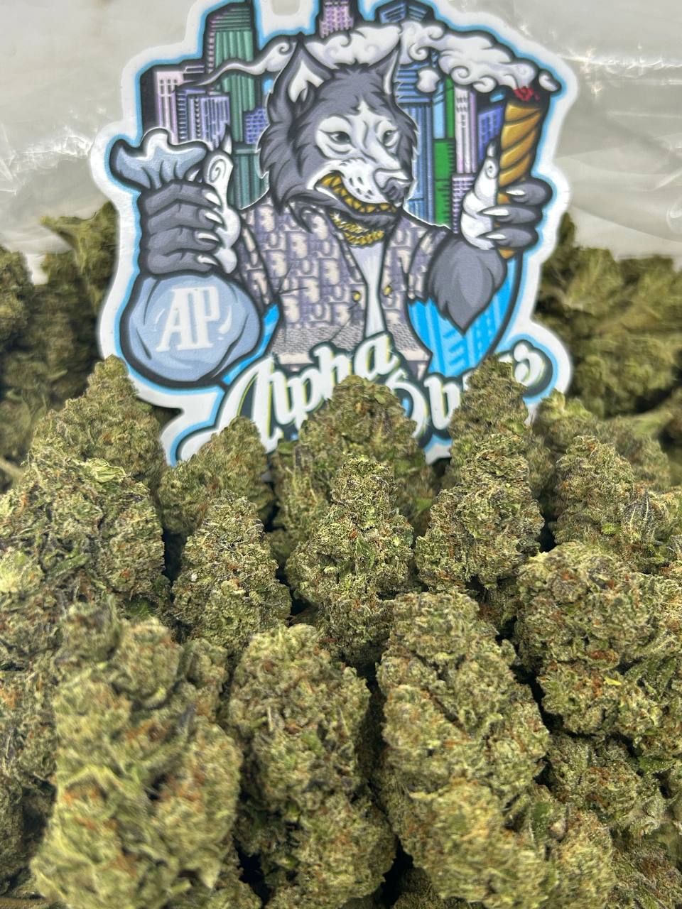 Grape Gas Mask 🍇⛽️