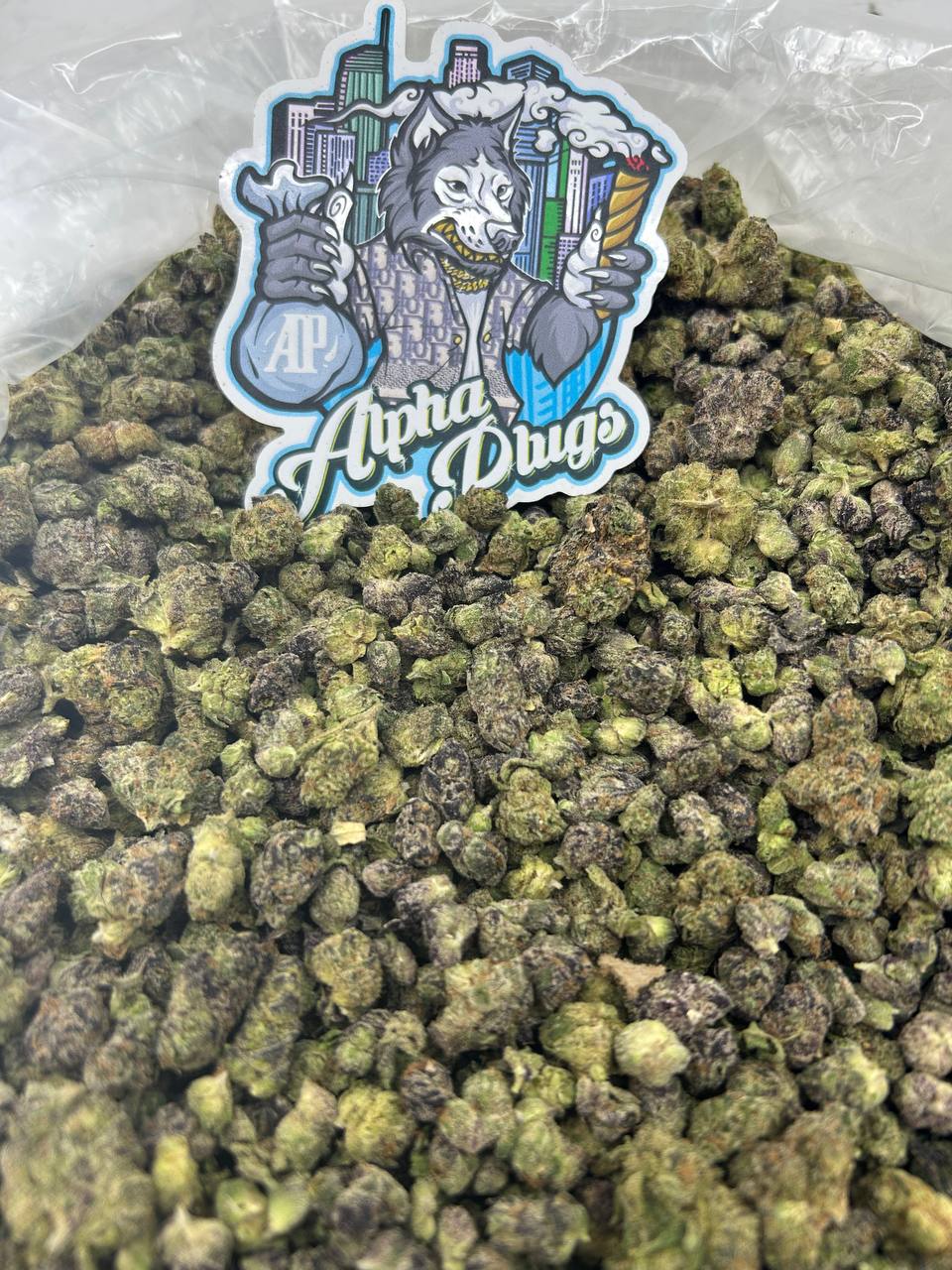 Blueberry Blast Smalls 🫐💥