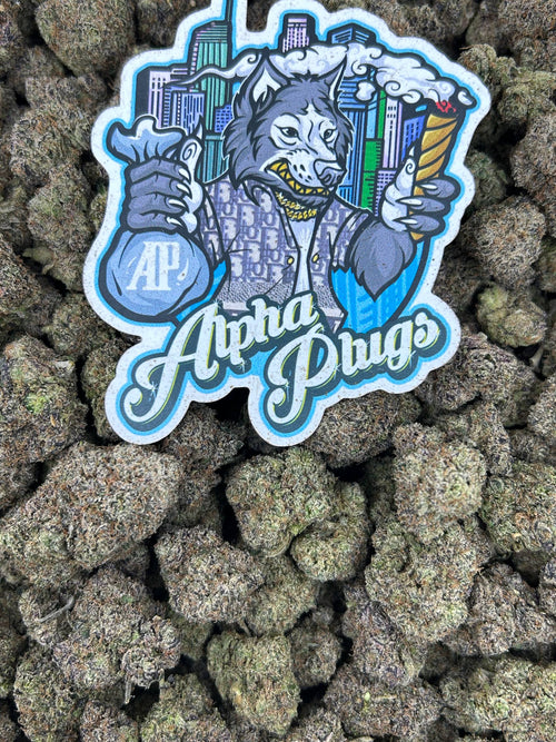 Zuper Gelato ⛽️🍨