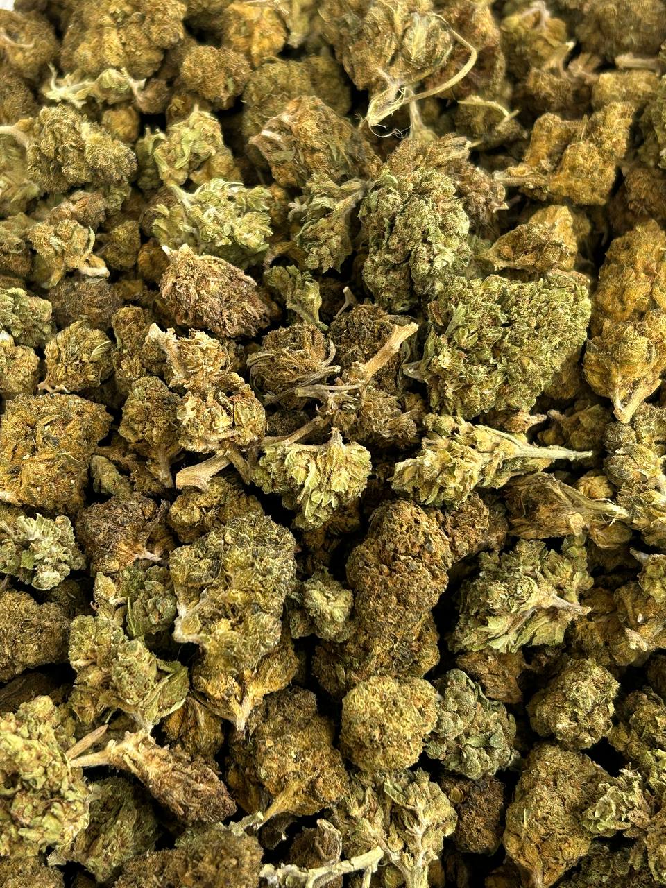 Sour Diesel 💢⛽️
