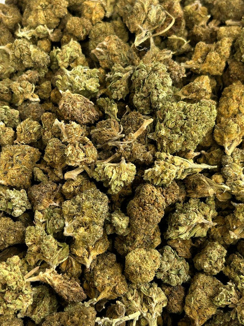 Sour Diesel 💢⛽️