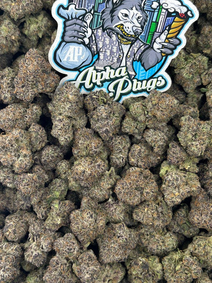 Mochi Mania 🍡🥮