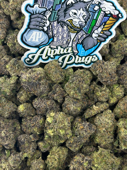 Mango Slushie 🥭❄️