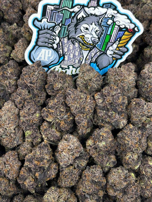 Mochi Rocket 🍡🚀