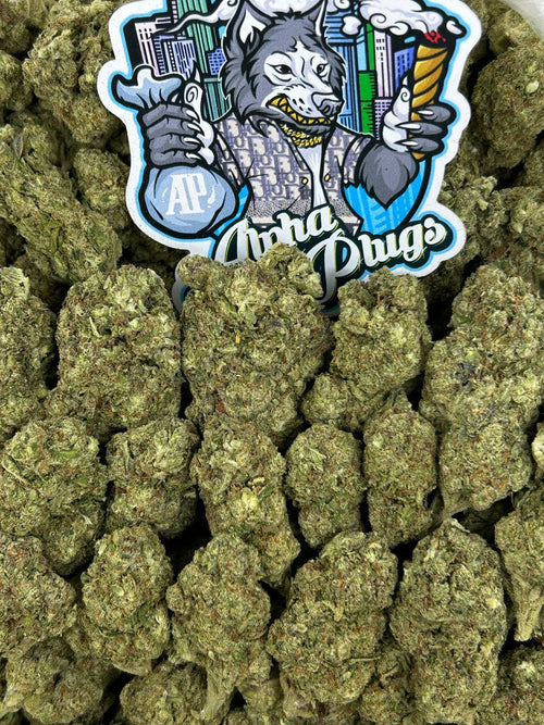Gelato 41 🍦⛽️