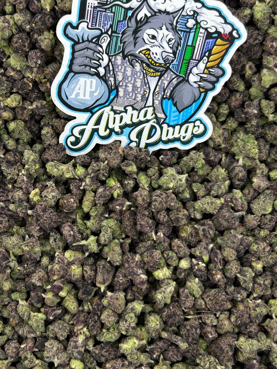 Fantasy Grape Smalls 🍇✨
