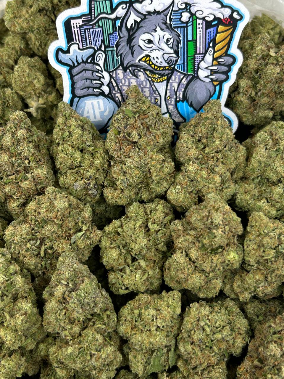 Grape OG 🍇⛽️