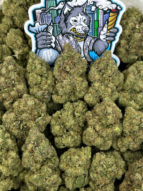 Grape OG 🍇⛽️