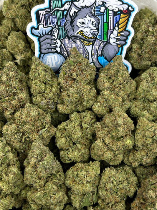 Grape OG 🍇⛽️