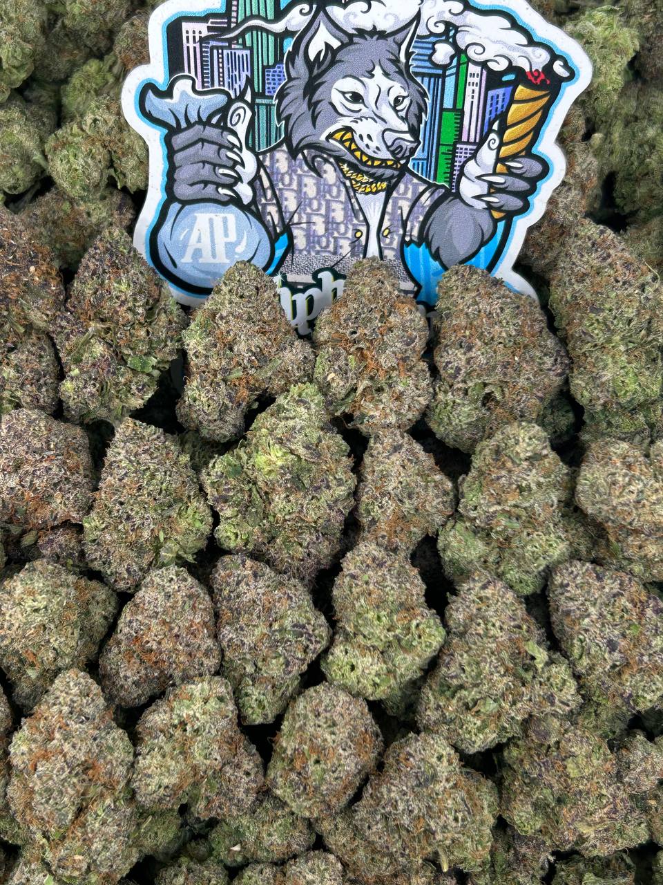 Candy Gelato 🍭🍦