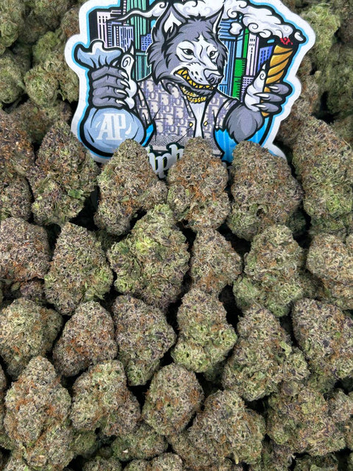 Candy Gelato 🍭🍦