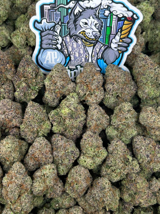 Candy Gelato 🍭🍦
