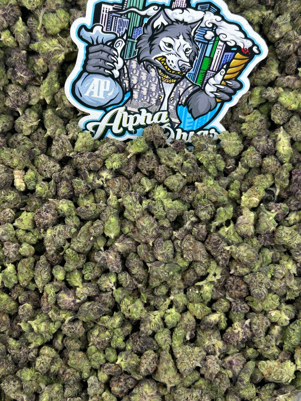 Mochi Berry Smalls 🍡🫐