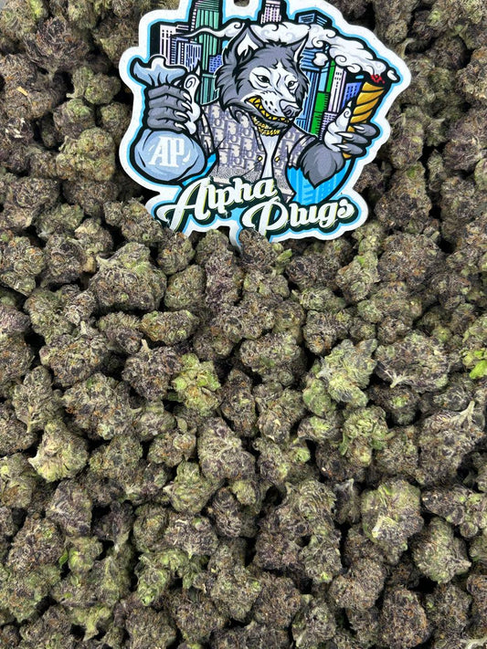Blackberry Gelato Mediums 🫐🍦