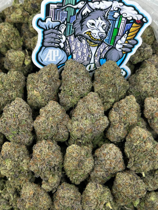 Bubblegum Plush 🫧🧸