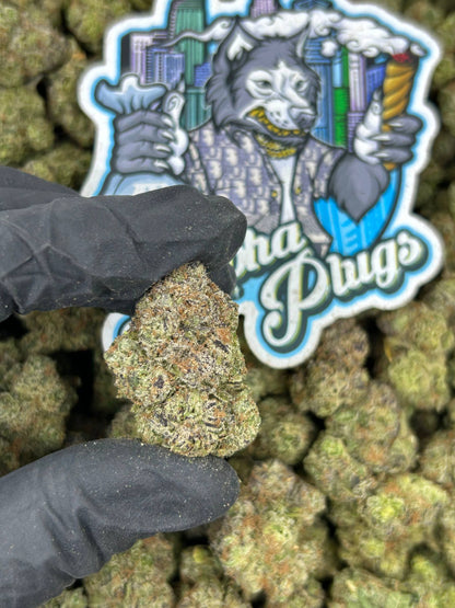 Pineapple Punch 🍍⛽️