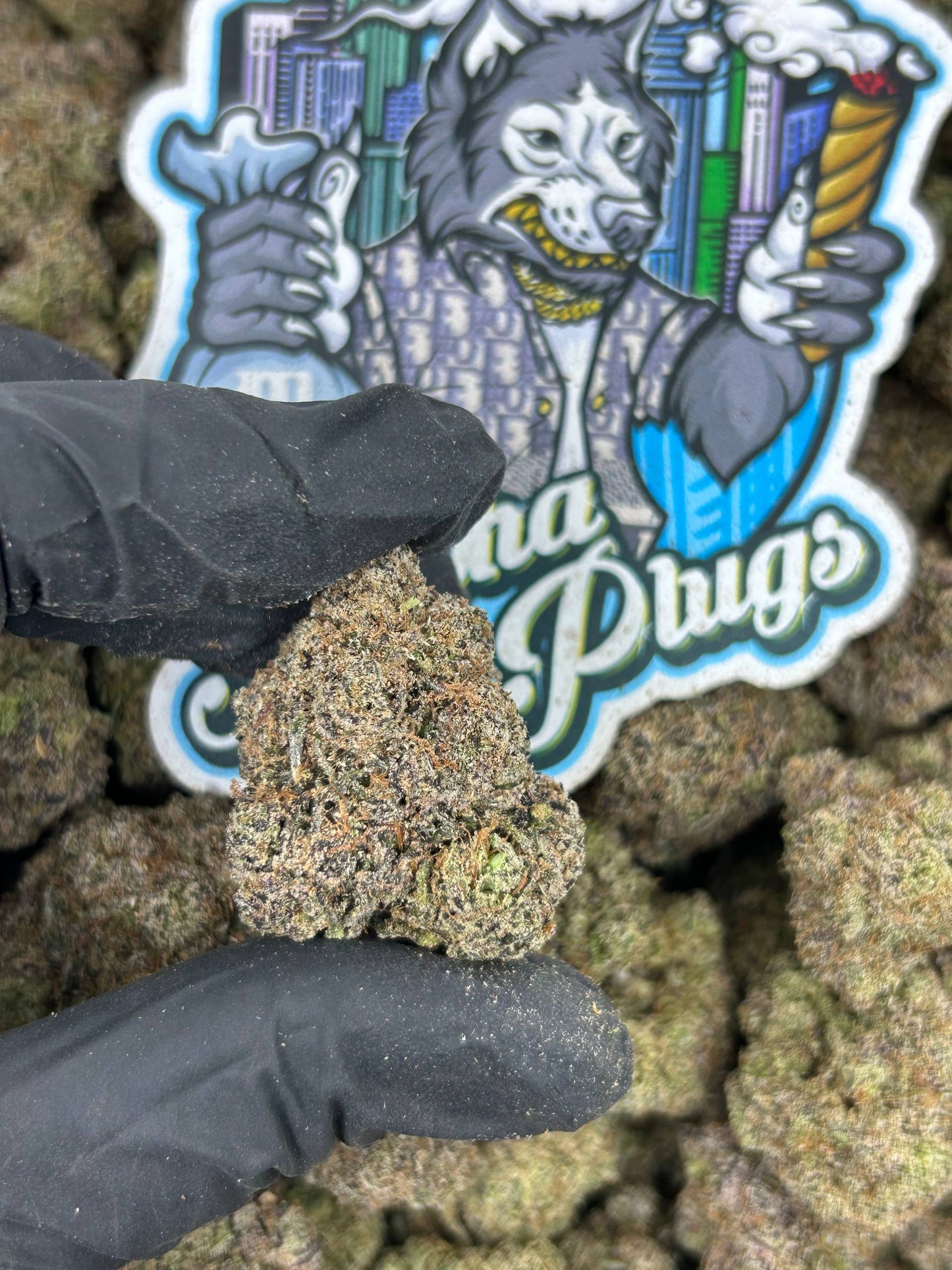 Zuper Gelato ⛽️🍨
