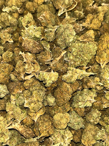 Sour Diesel 💢⛽️