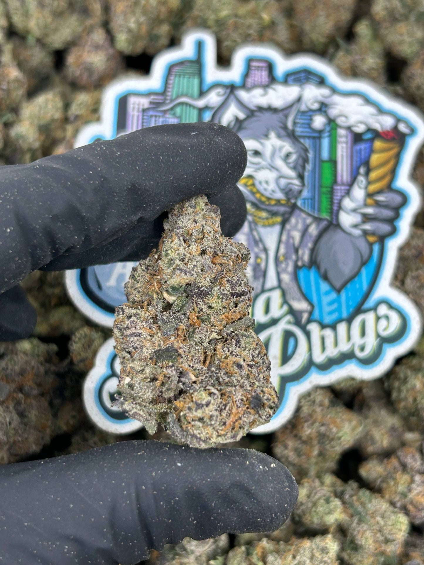 Blueberry Creamcake 🫐🍦