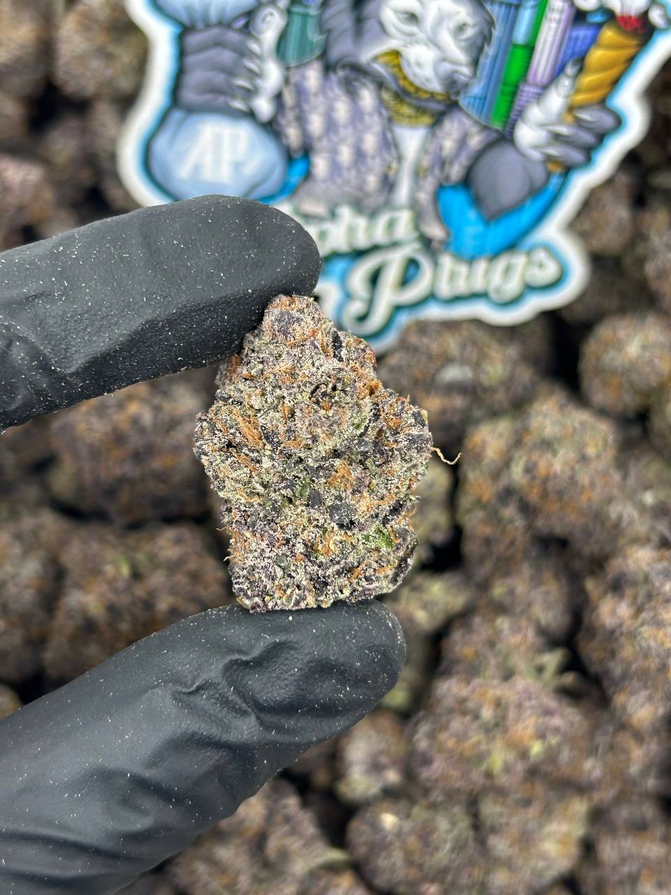 Bubblegum Runtz 🍬💜