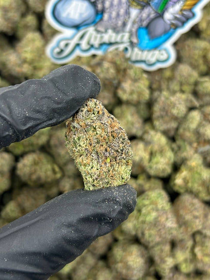 White Cherry Gel 🤍🍒
